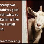 A Goat for Rahim